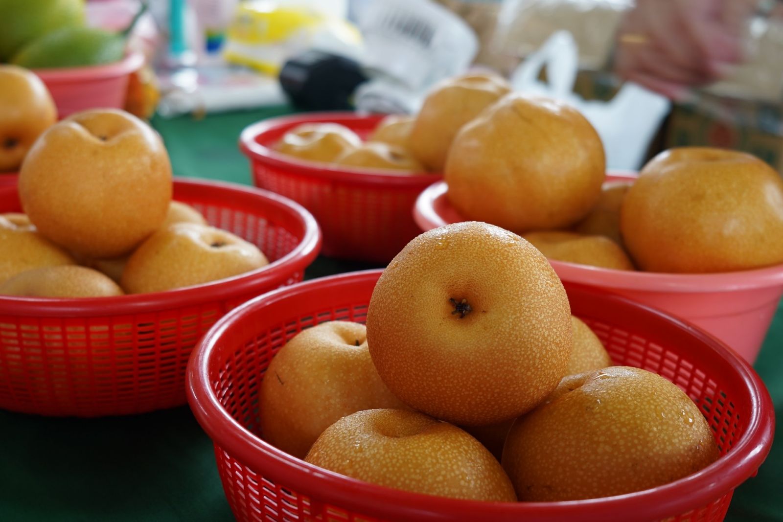 本周花博農民市集舞台推出「芒果奶酪及芒果手卷DIY」課程