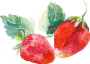 Fruit and vegetable images