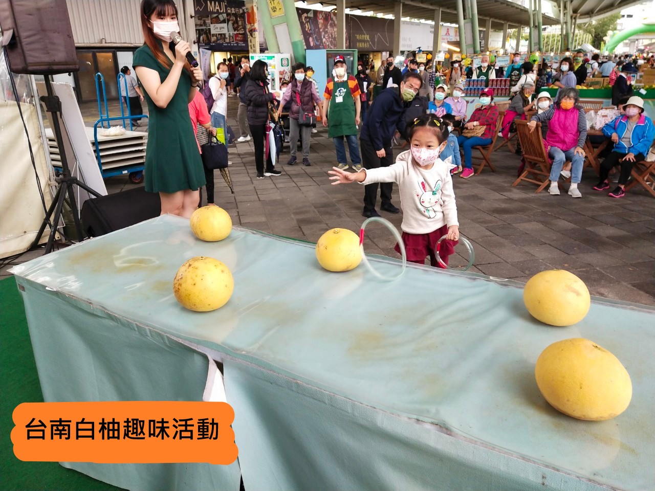 台南白柚趣味活動