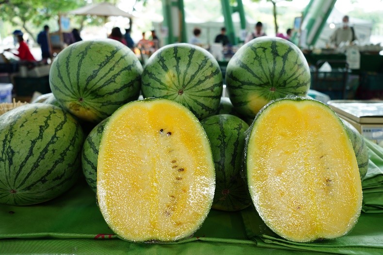 圖一 夏日將至 正是品嚐雲林鳳梨、西瓜好時機