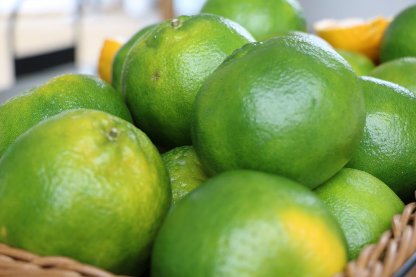圖一 青皮椪柑是柑橘中較早盛產的品種之一