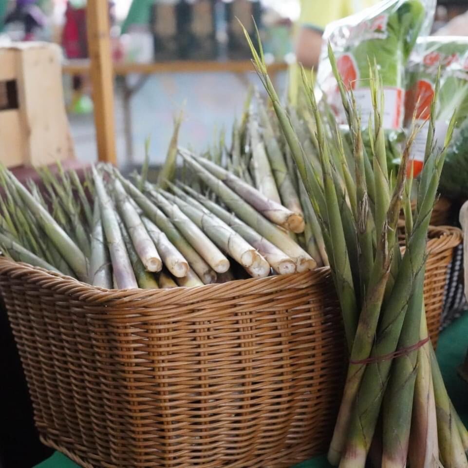 圖1 春季山珍 花蓮箭竹筍3月23-24日在臺北花博農民市集脆嫩登場