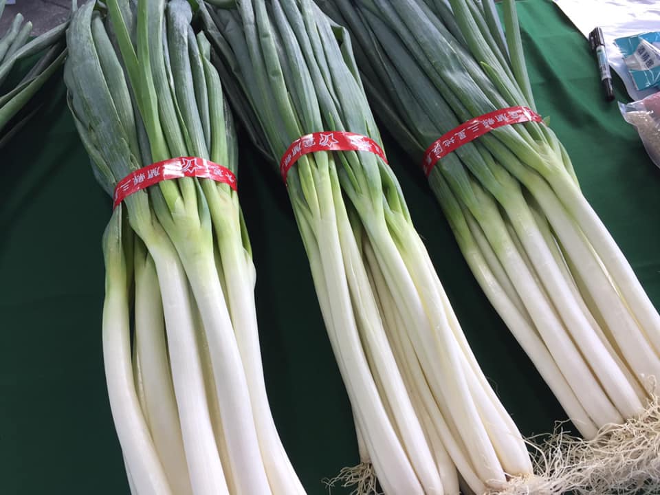 圖4. 宜蘭青蔥