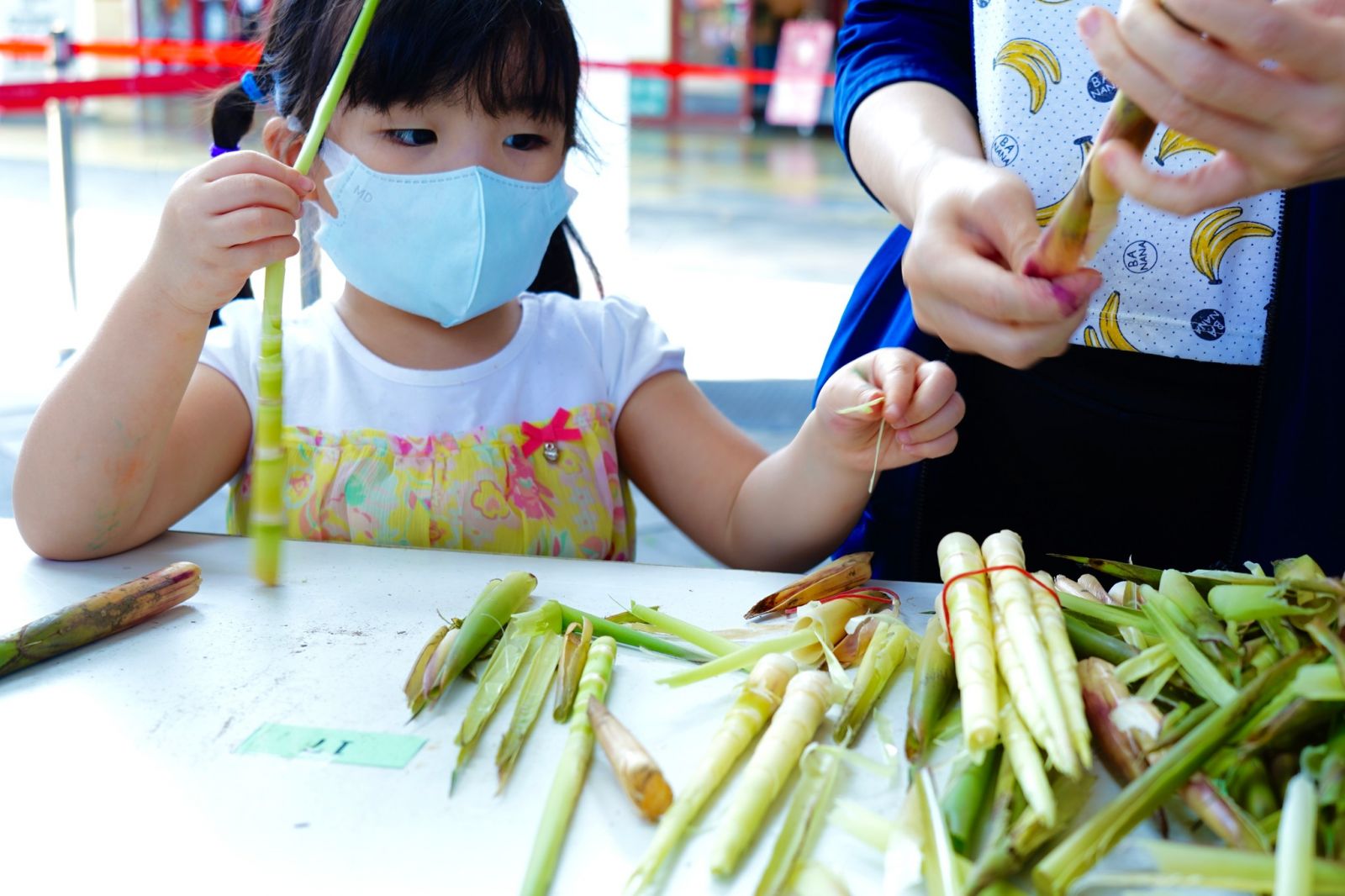 圖4.花蓮縣箭竹筍