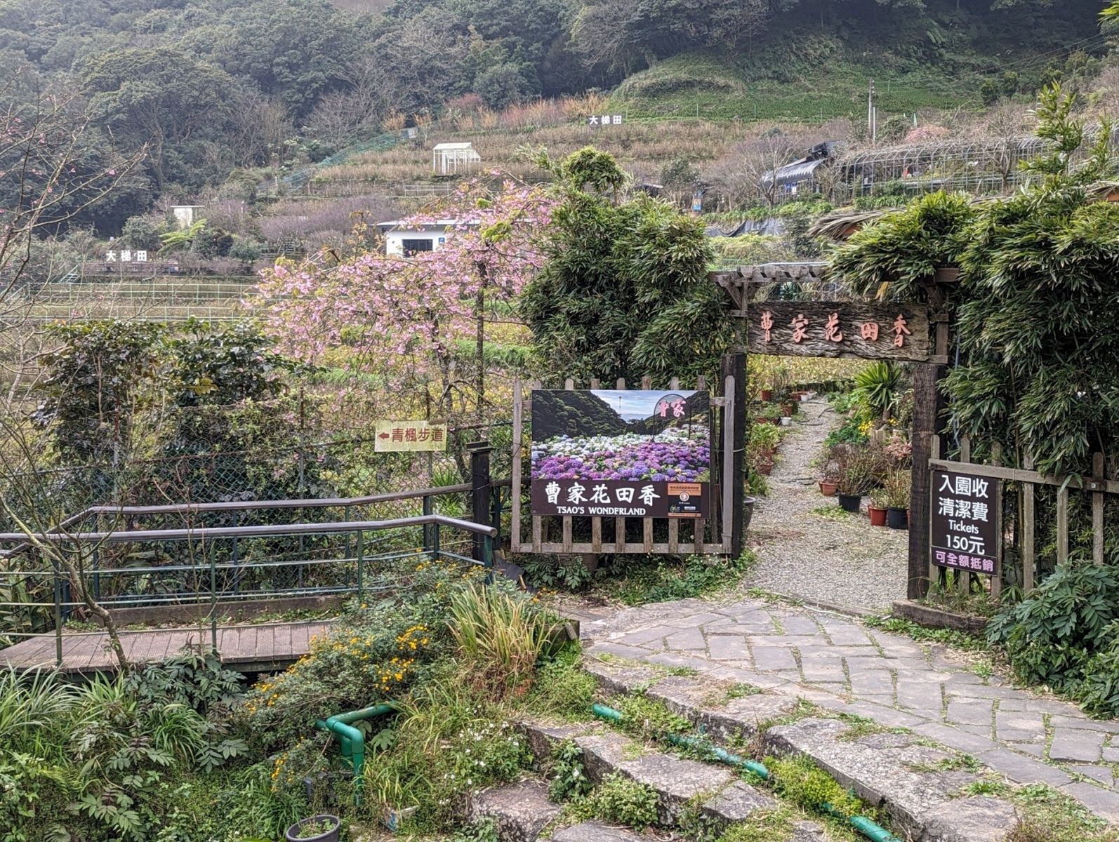坐落於陽明山竹子湖地區的「曹家花田香」，前身是擁有兩百年歷史的梯田農地