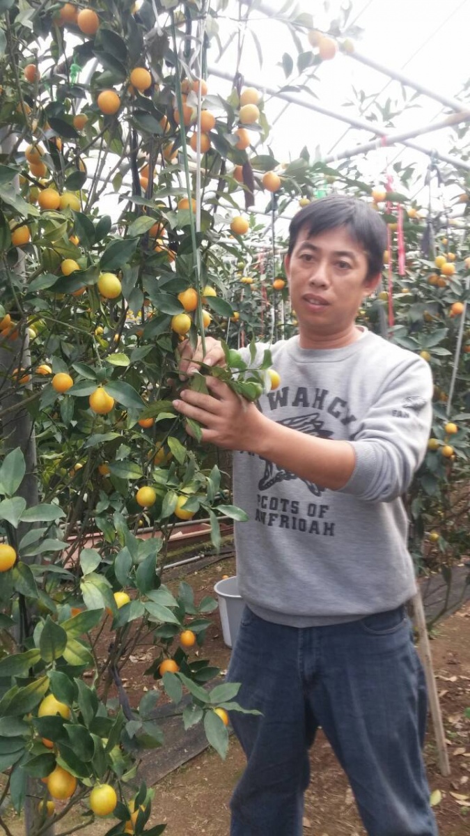 張日新青農