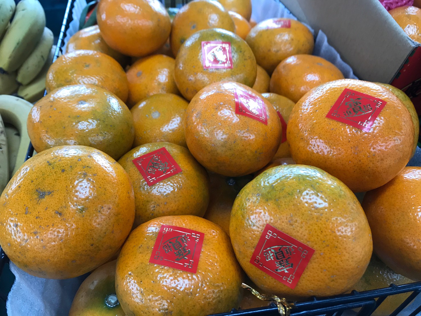 冬季來臨時最適合品嚐柑橘