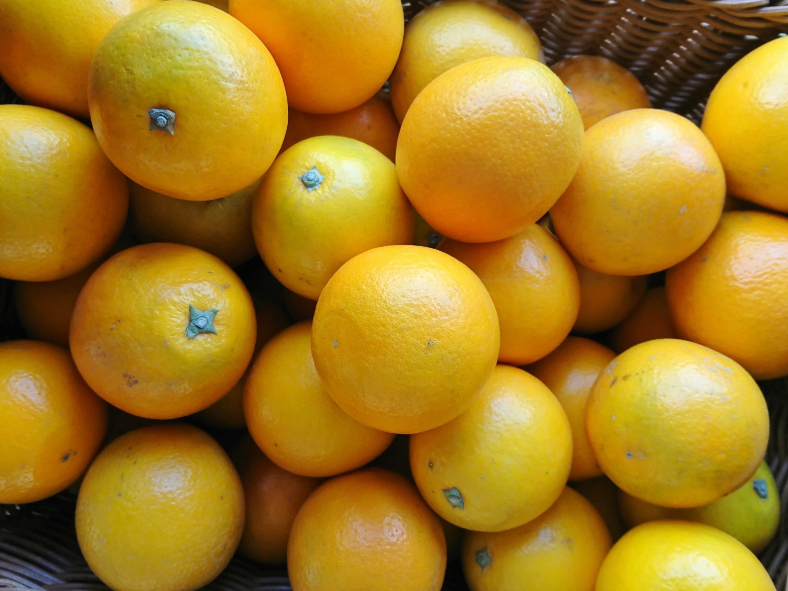 營養健康、不可錯過金黃橙香好滋味的柳丁。