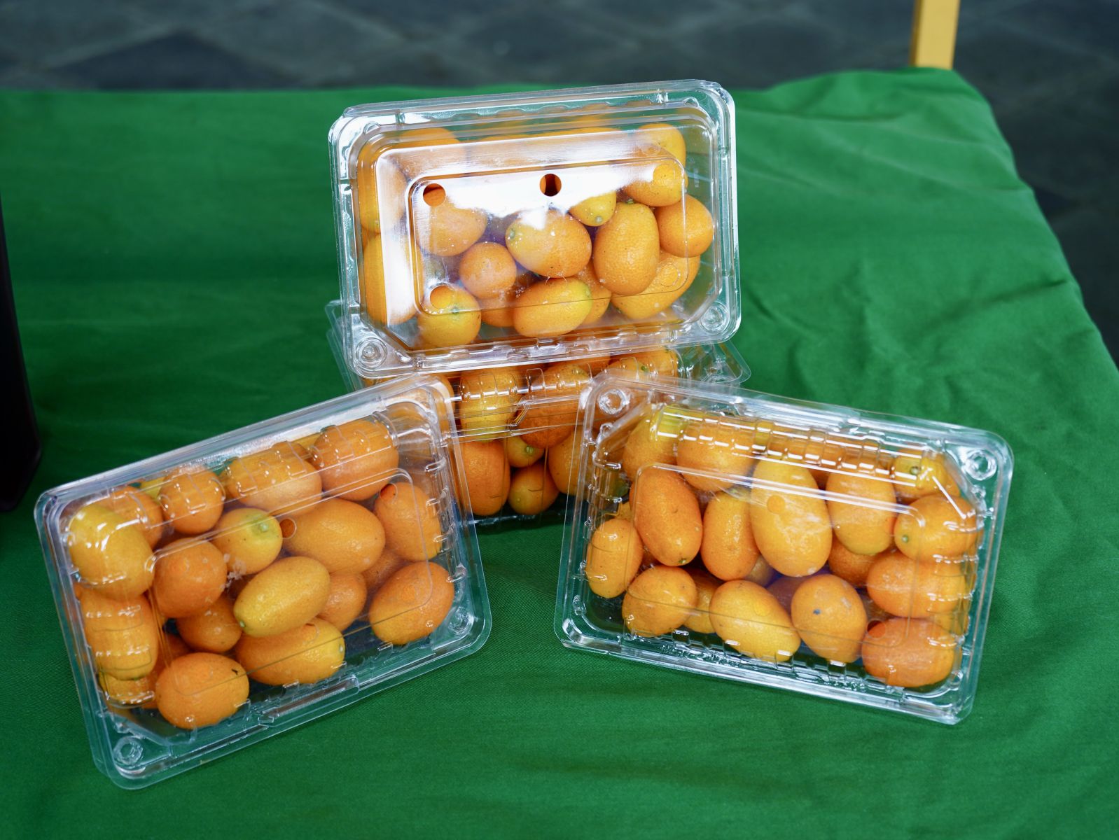 時令金柑鮮果陳列於桌上