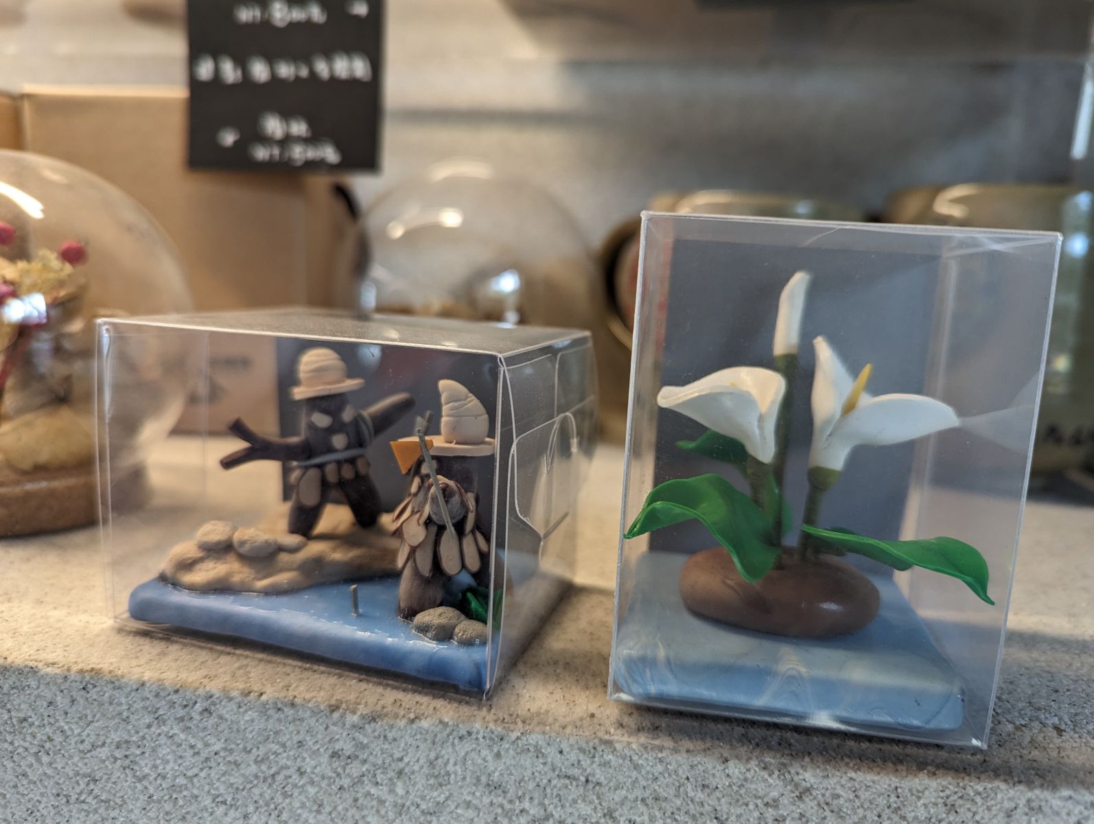 海芋永生花