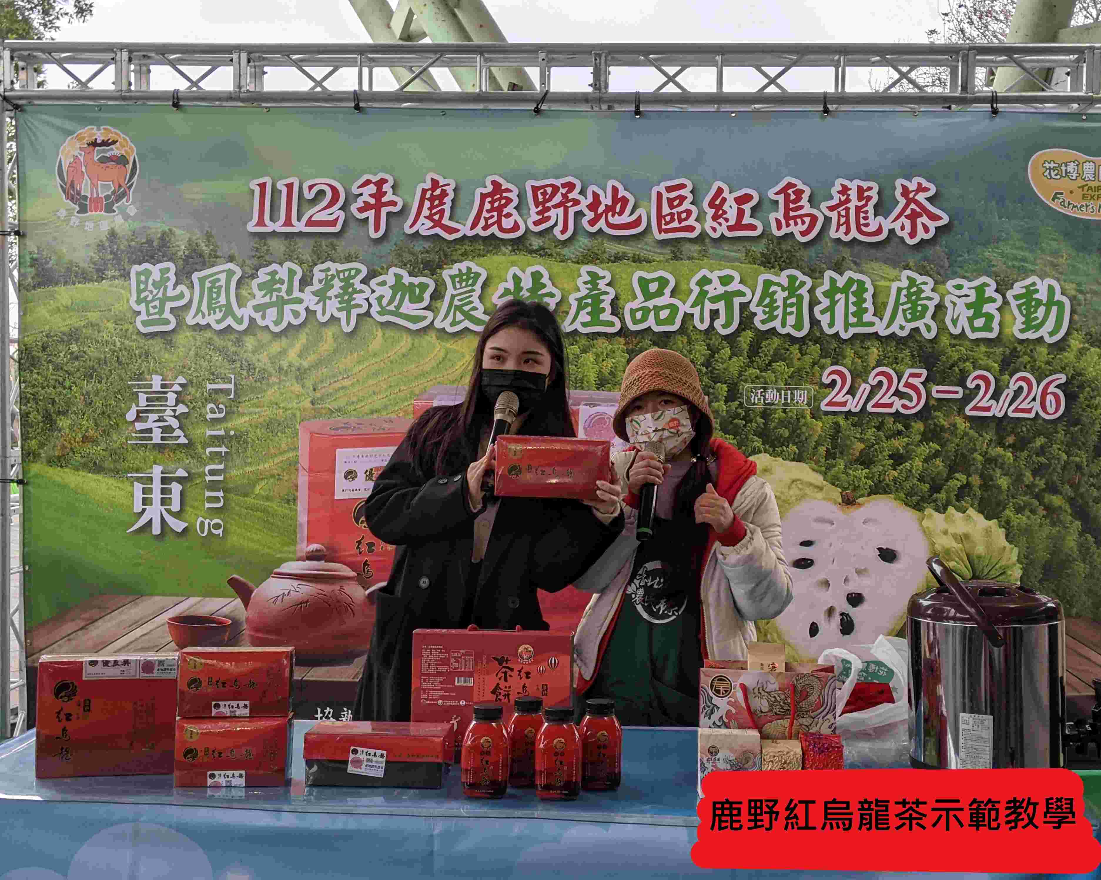 鹿野紅烏龍茶示範教學