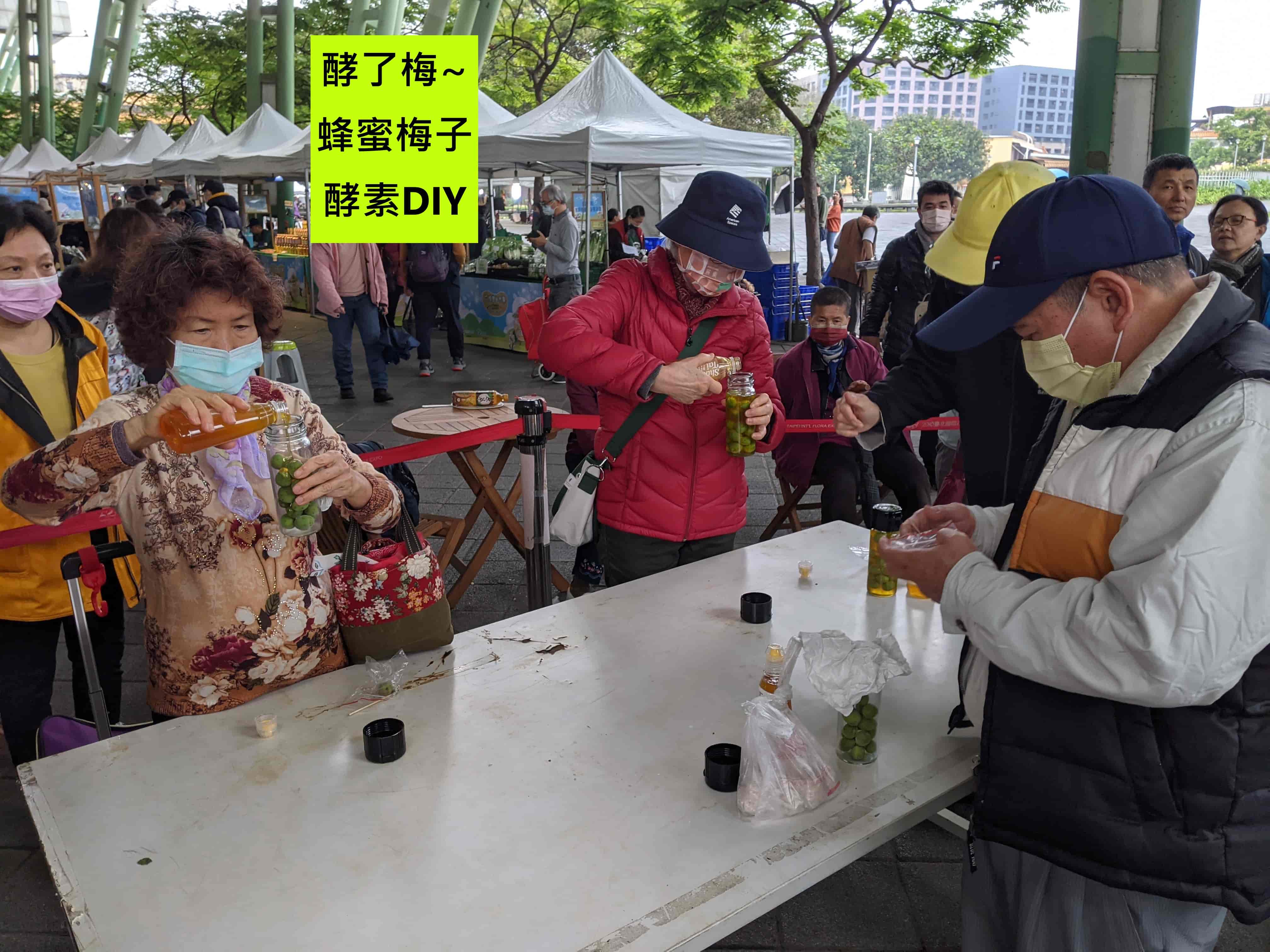 酵了梅~蜂蜜梅子酵素DIY活動