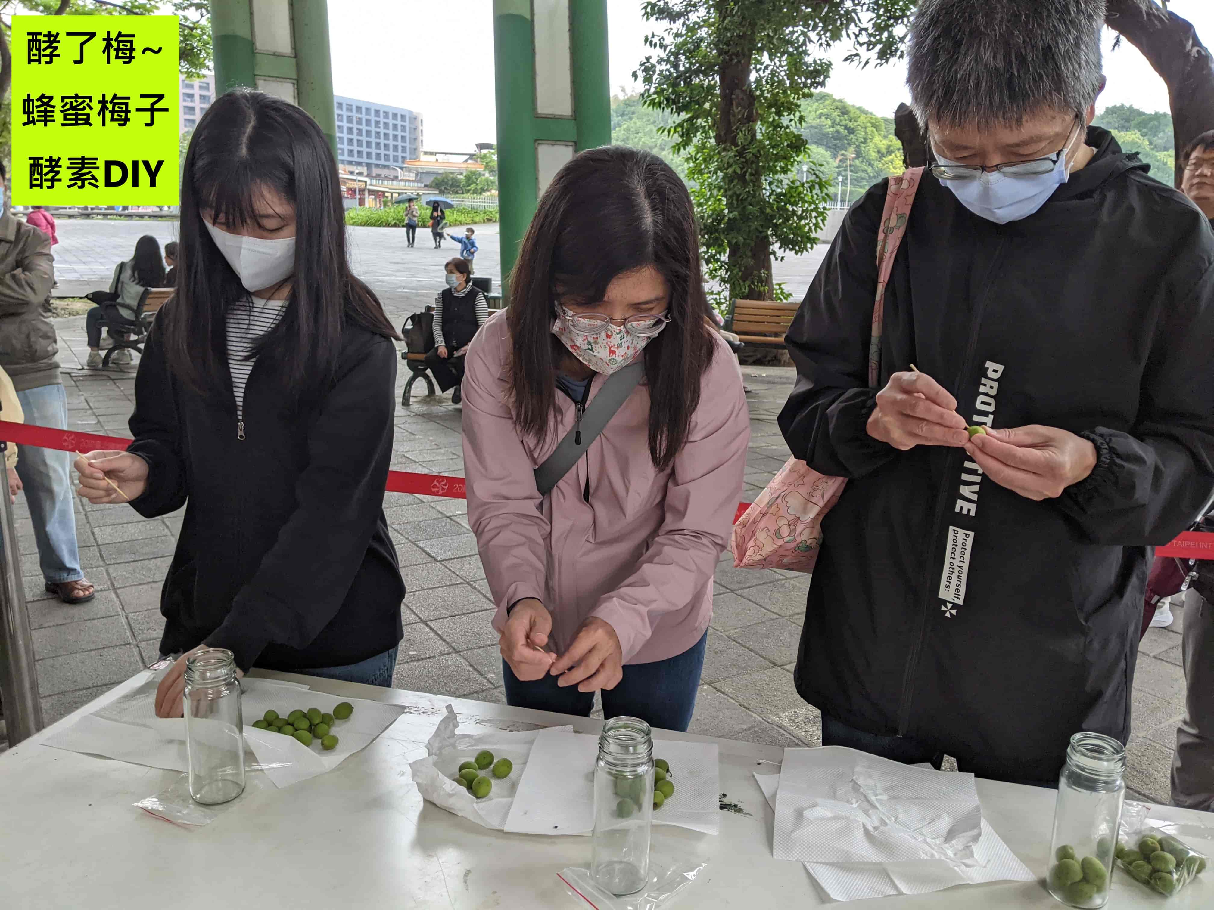 酵了梅~蜂蜜梅子酵素DIY活動
