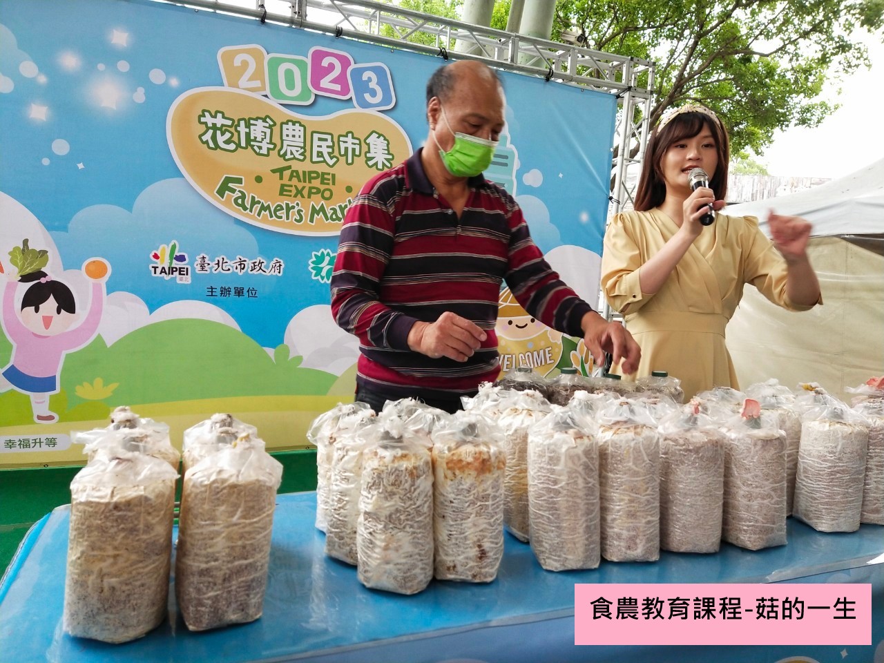 食農教育課程-菇的一生