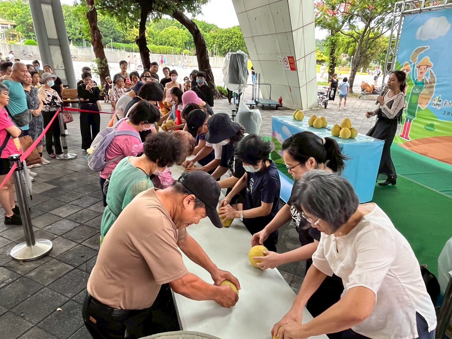 剥柚子趣味競賽DIY