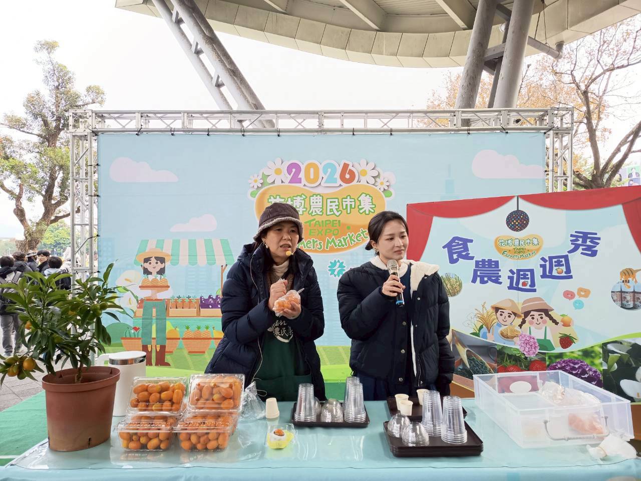 金柑報喜 財源滾滾