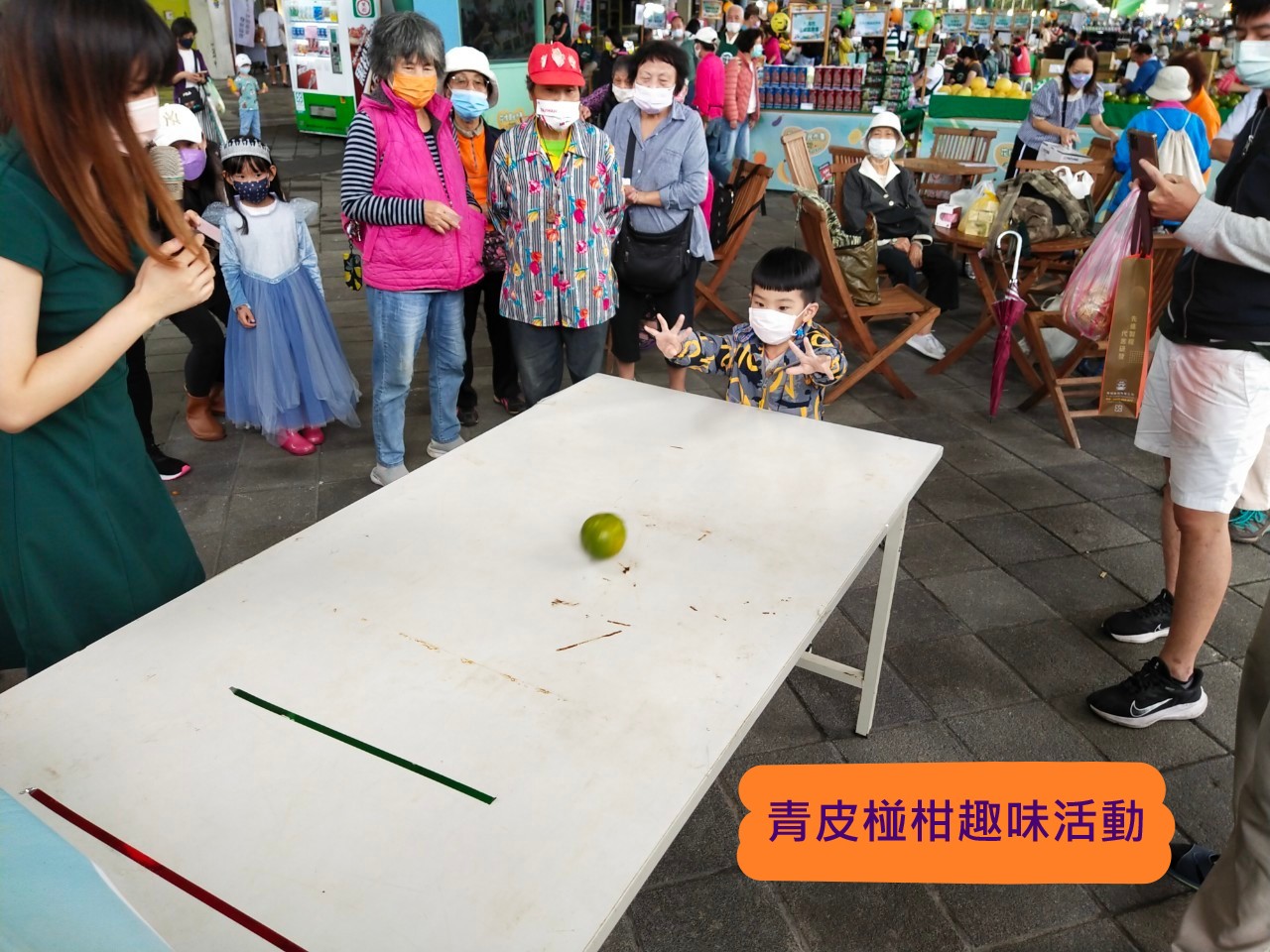 青皮椪柑趣味活動