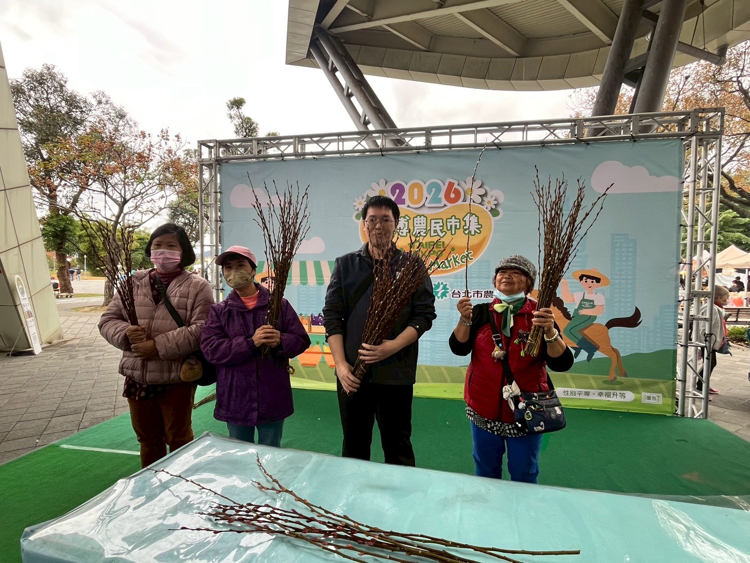 剝銀柳趣味競賽