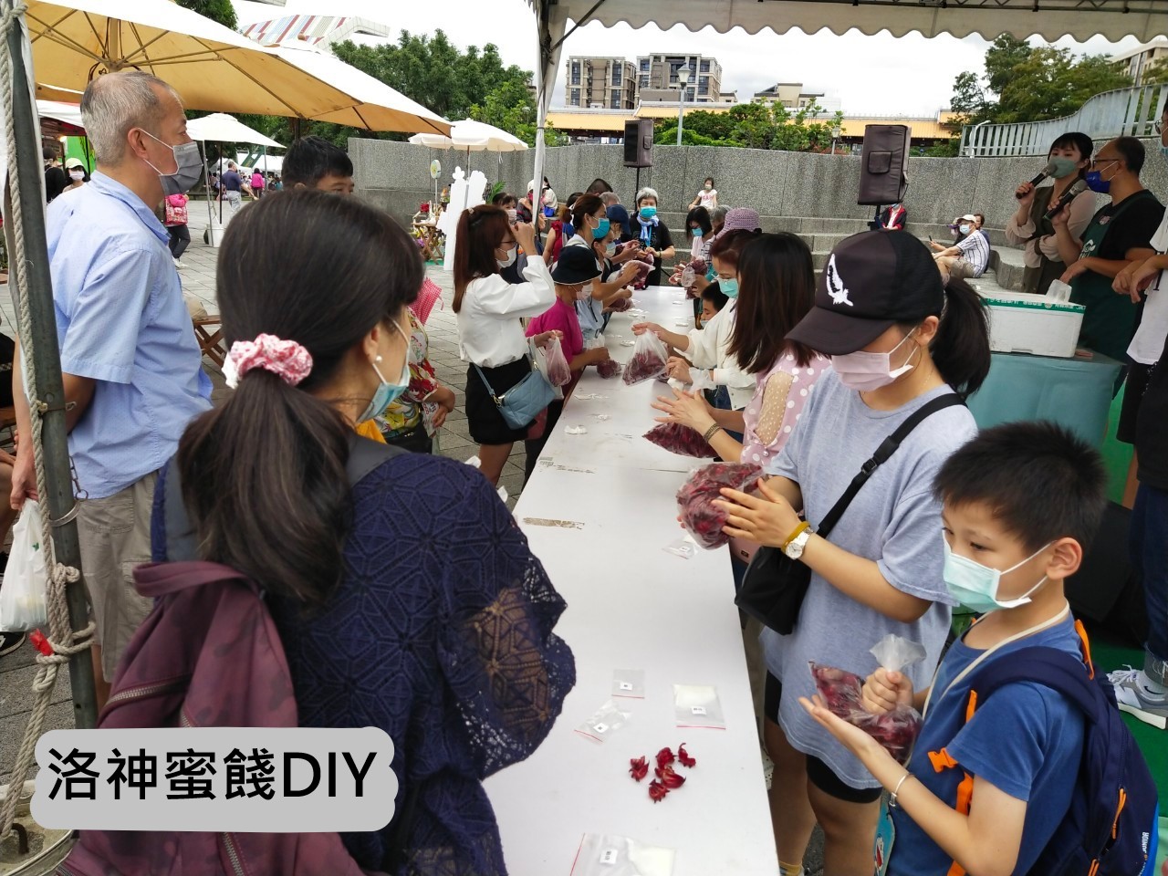 洛神蜜餞DIY