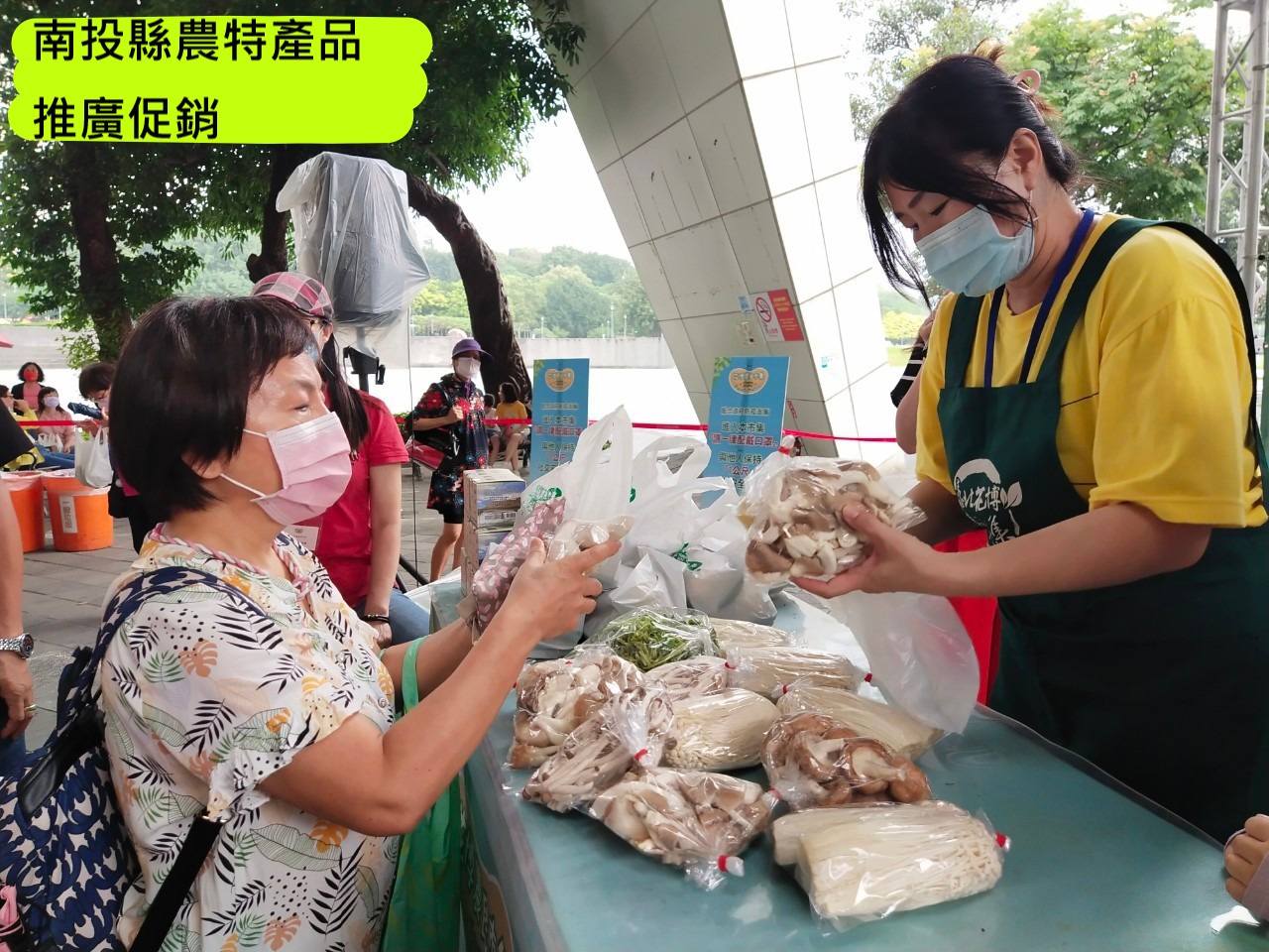 南投縣農特產品推廣促銷(菇類)