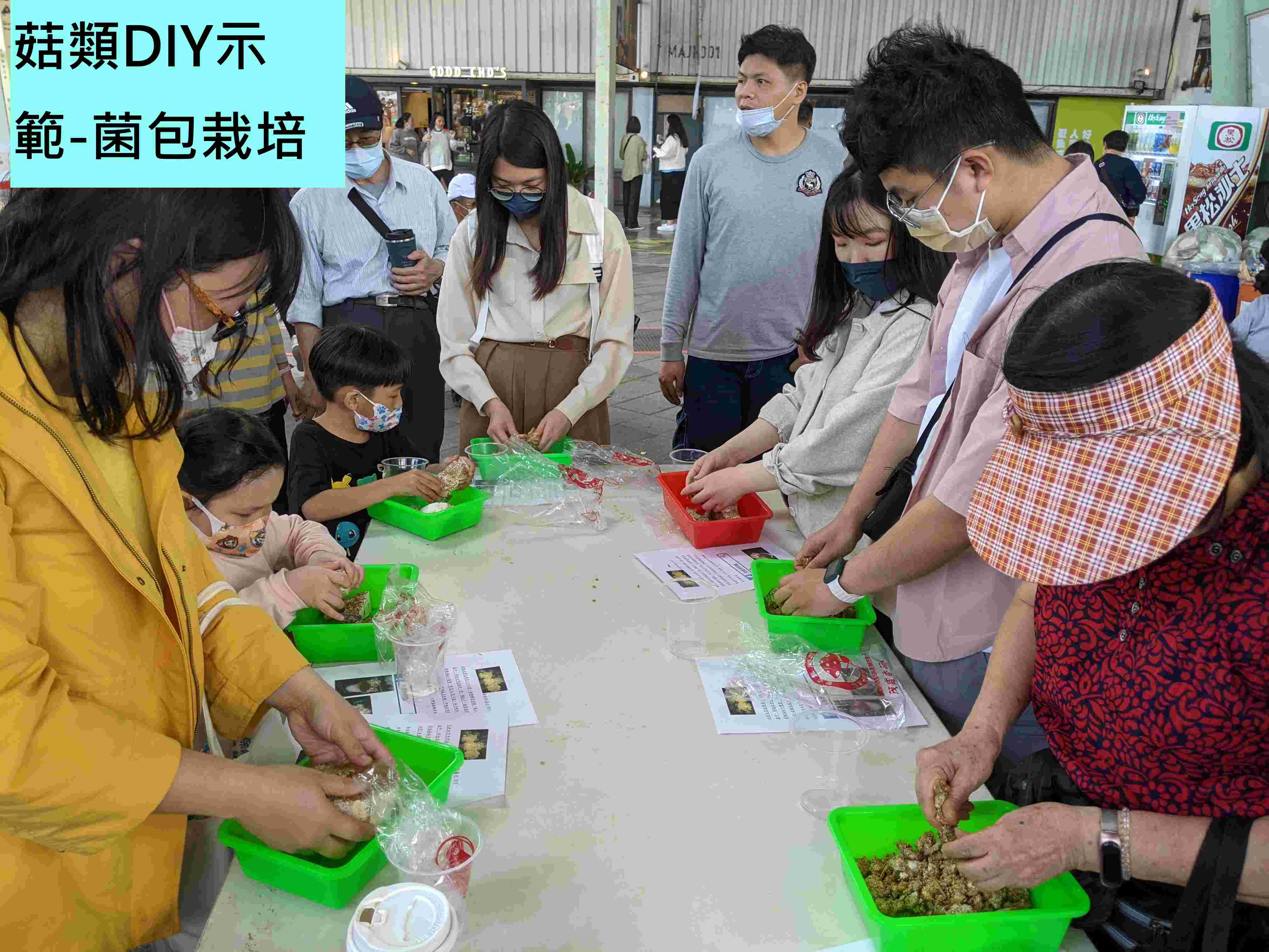 菇類DIY示範-菌包栽培