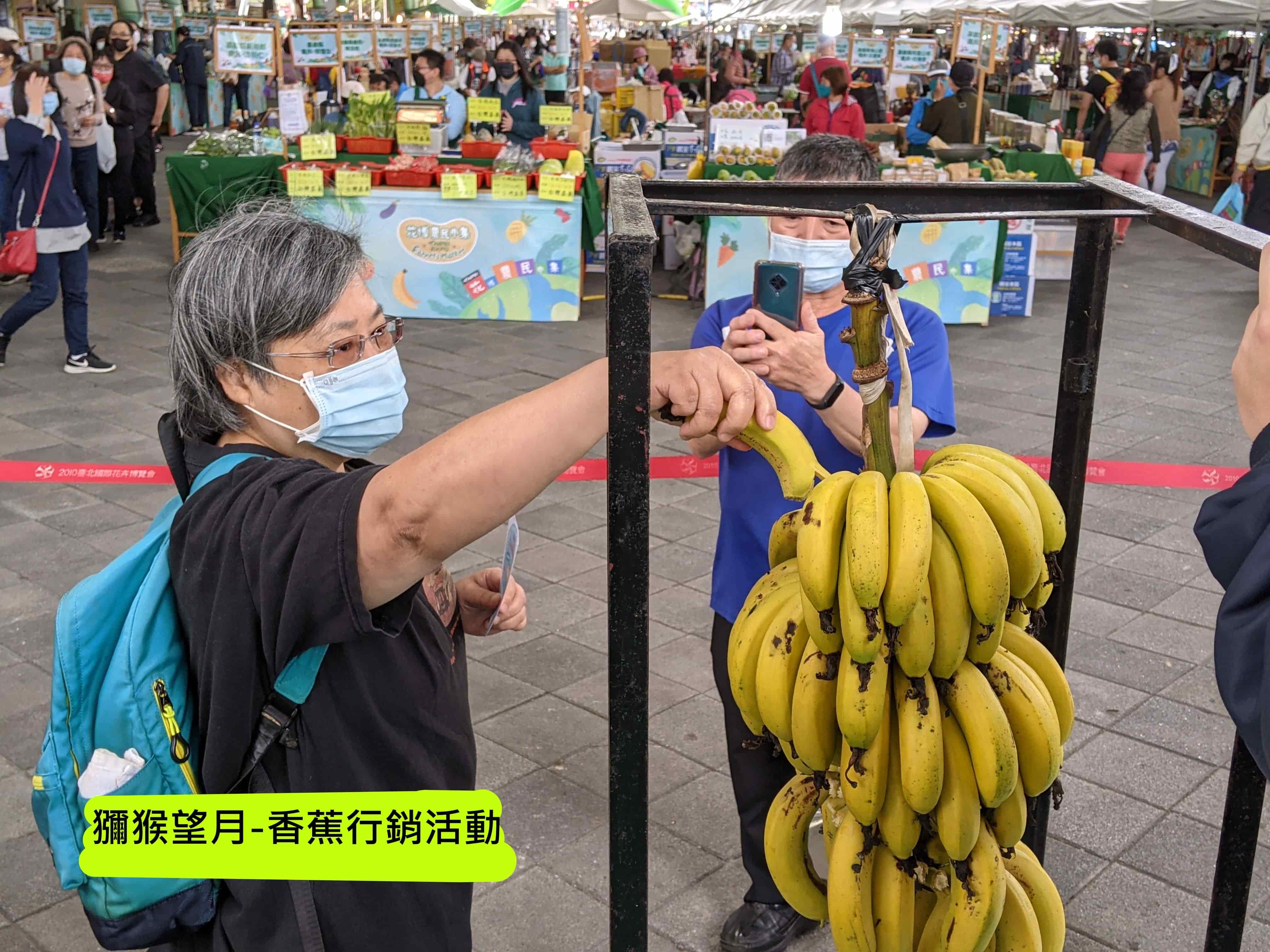 獼猴望月-香蕉行銷活動