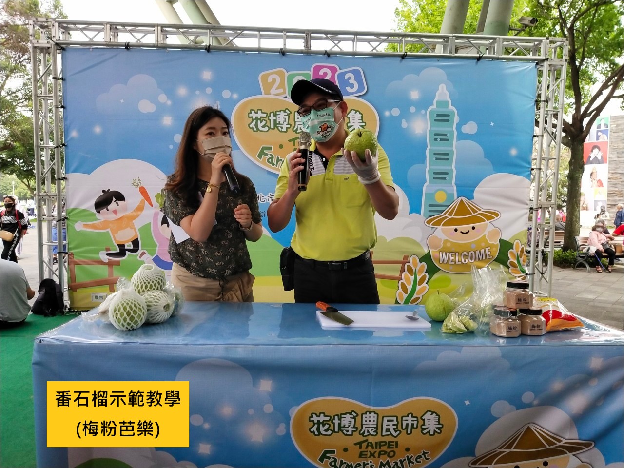 番石榴示範教學(梅粉芭樂)