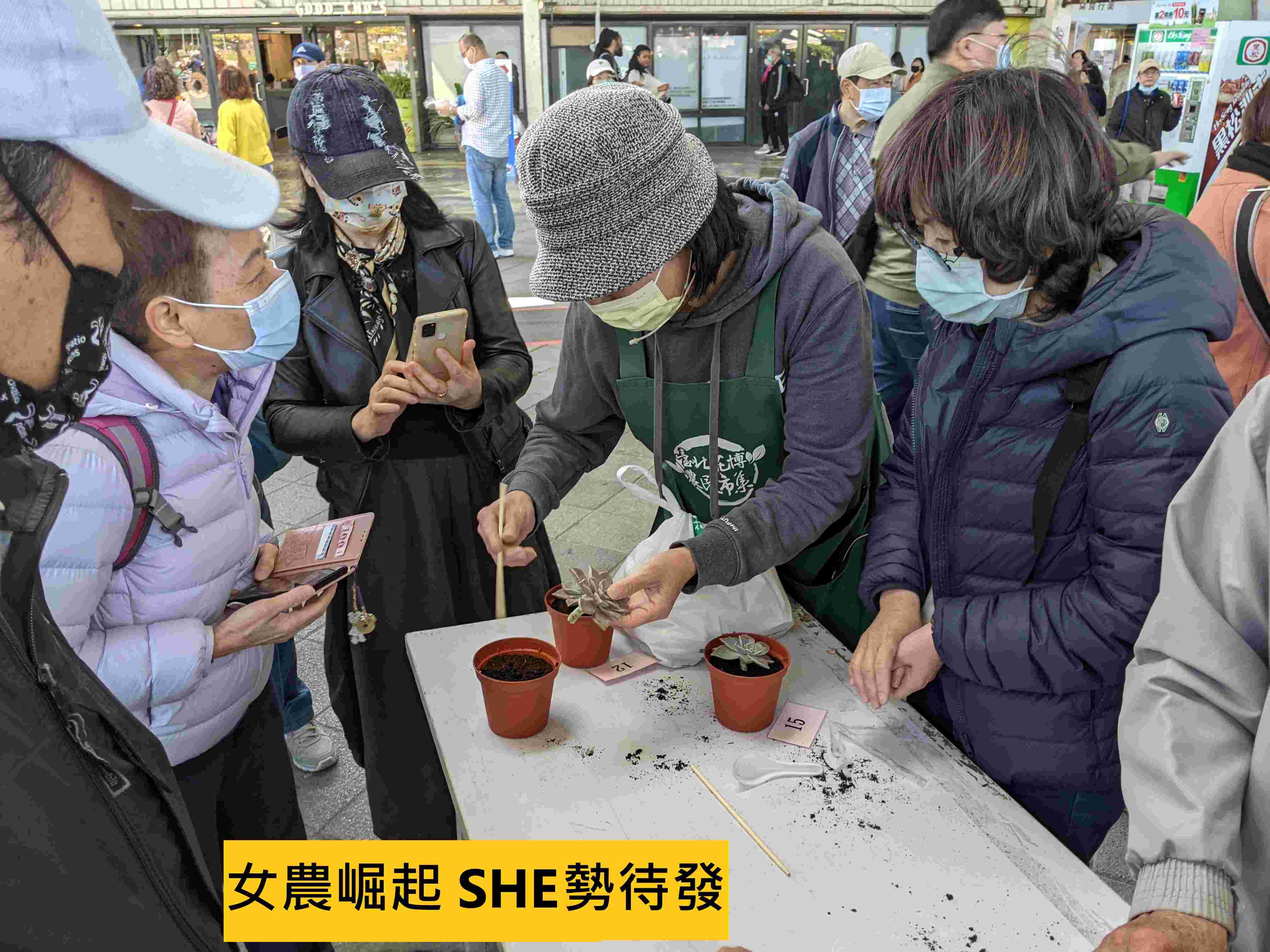 女農崛起 SHE勢待發