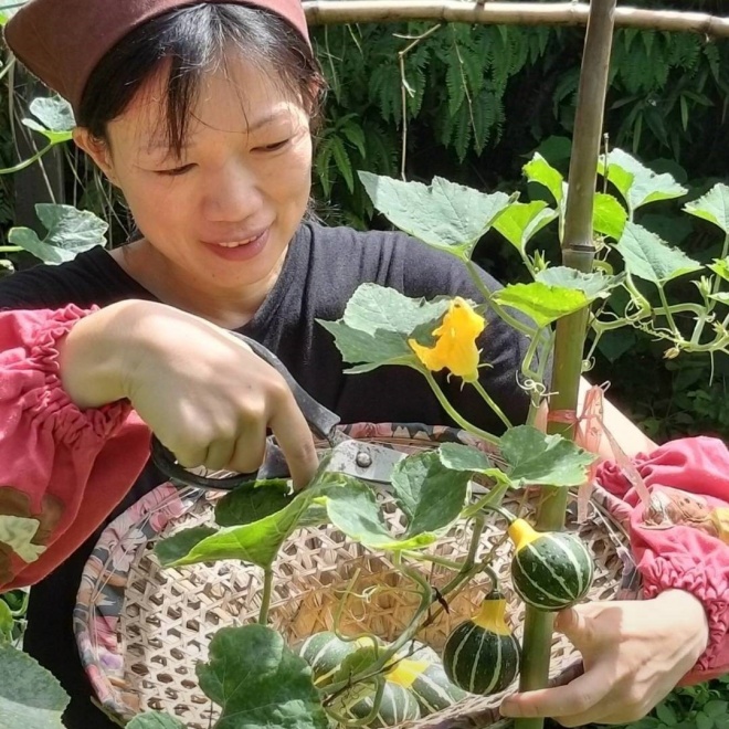 食材的來源都是從自家農園現採