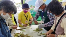 花蓮箭竹筍介紹與趣味競賽