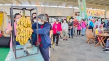 香蕉品嚐