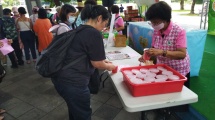西瓜食農闖關DIY