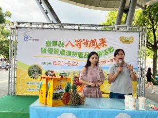 鳳梨木虌果雞湯品嚐