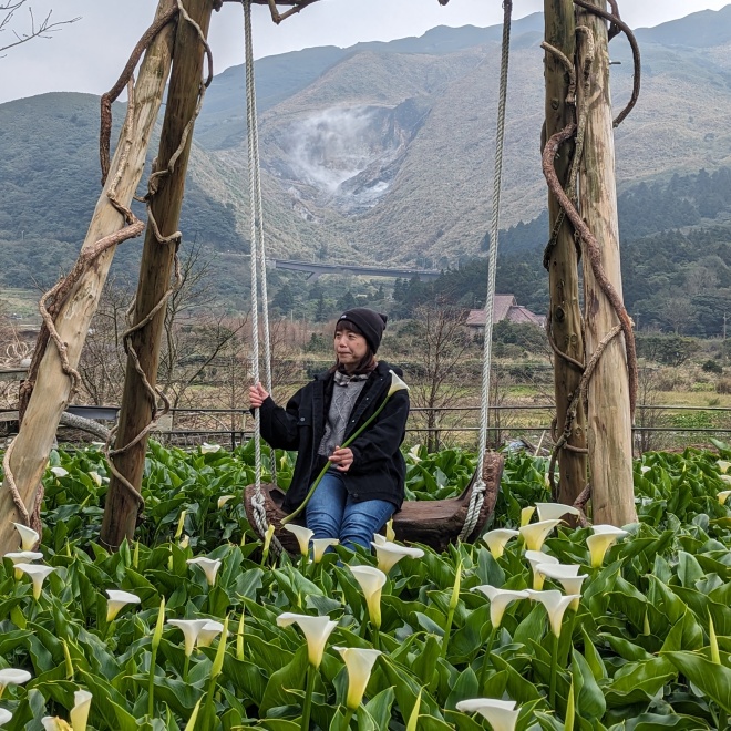 海芋花田中的鞦韆