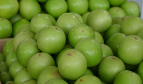 臺南蜜棗與特色農產齊聚臺北　茶樹精油亮相花博農民市集