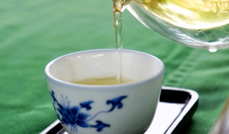 賀新年！南投好物在臺北花博農民市集 