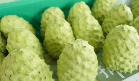 喜迎開市～臺東鹿野好農齊聚花博農民市集 