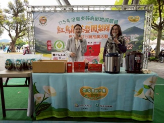 鹿野紅烏龍茶試飲品嚐