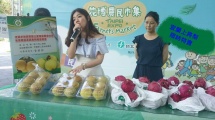 宜蘭上將梨限時特賣