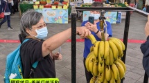 獼猴望月-香蕉行銷活動