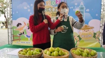 季節優質農產品促銷及試吃